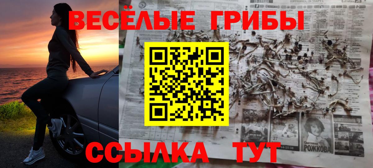 Псилоцибиновые грибы GOLDEN TEACHER Лысьва